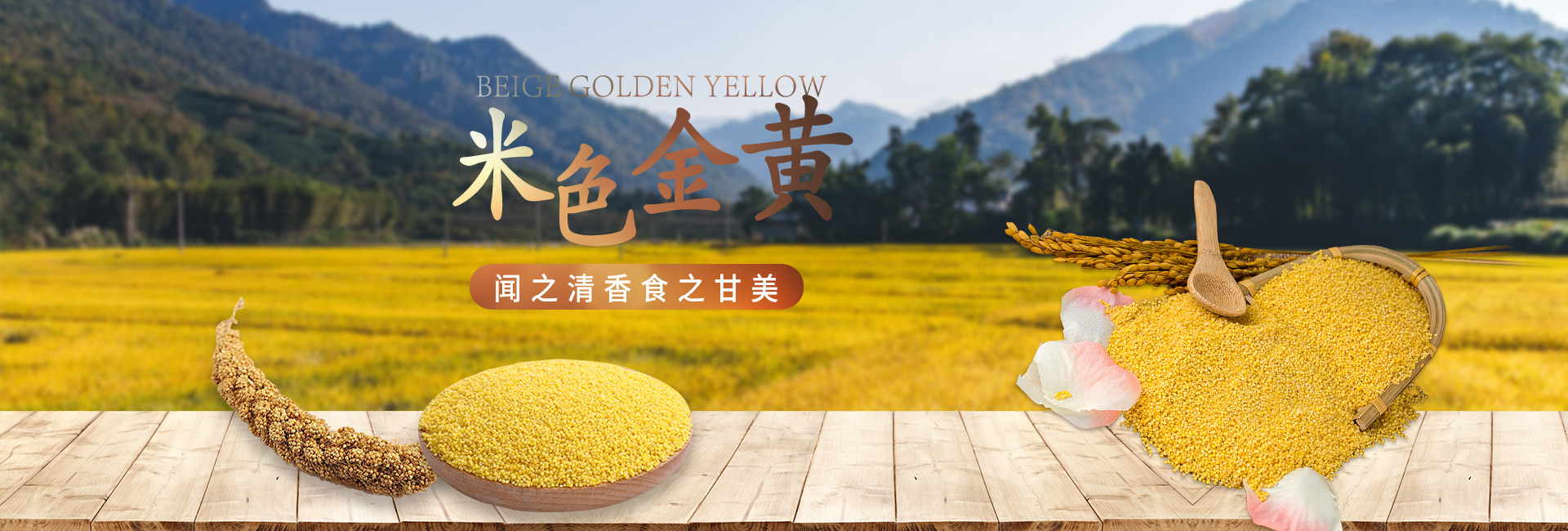 山東建業(yè)電纜有限公司